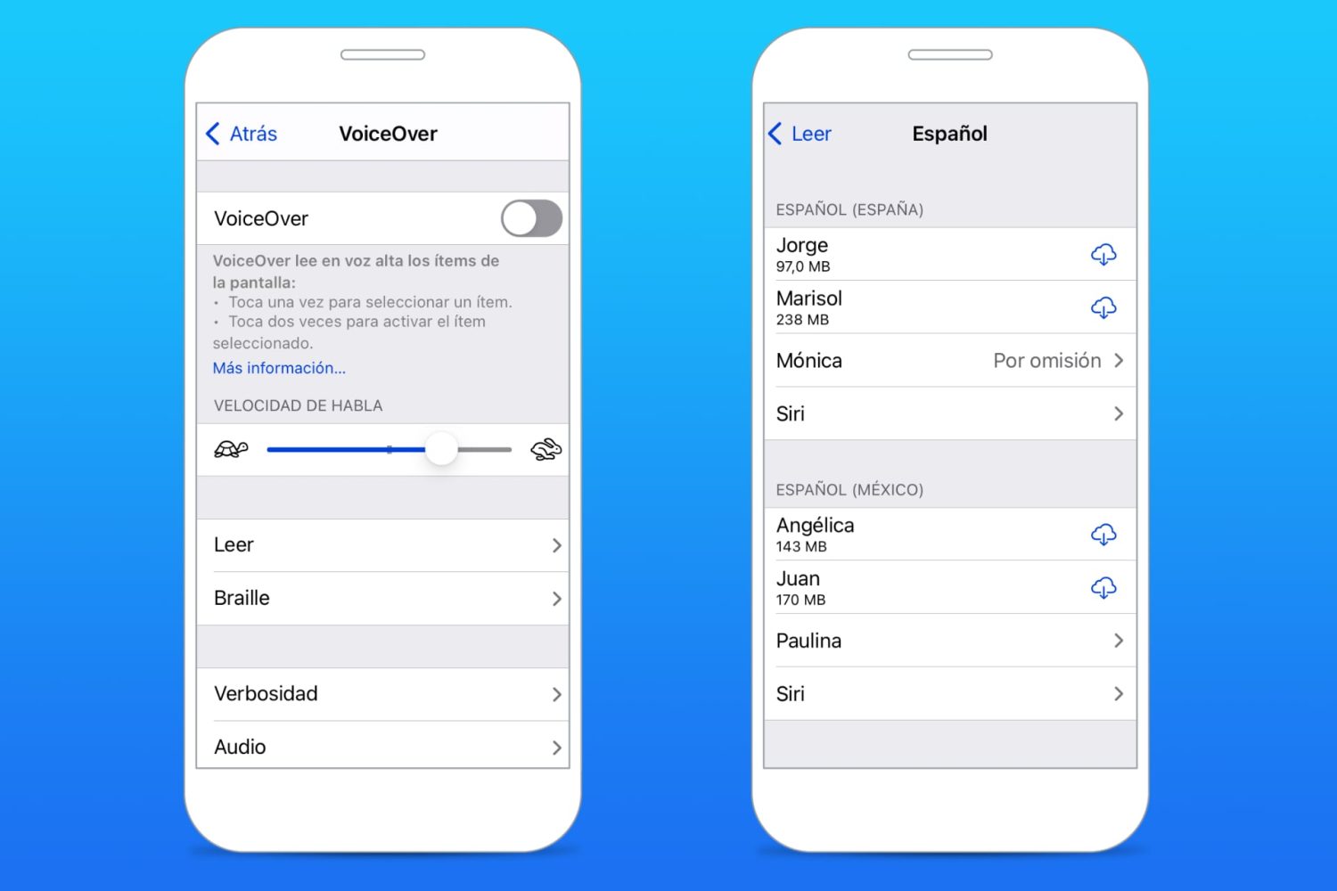 VoiceOver reads the text on the screen for you
